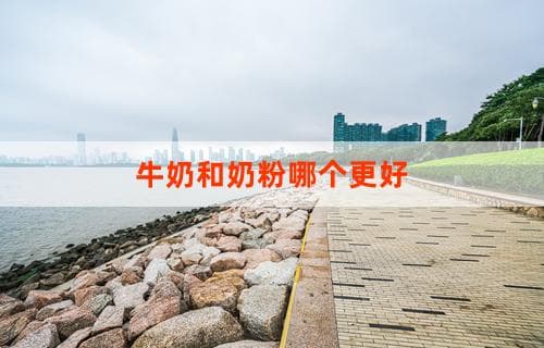牛奶与奶粉哪个更好：营养价值和适用场景对比分析