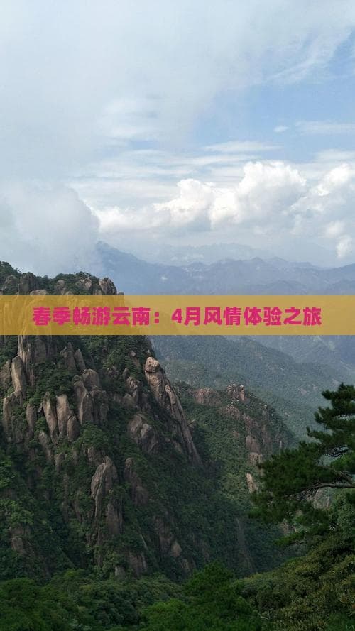 春季畅游云南：4月风情体验之旅