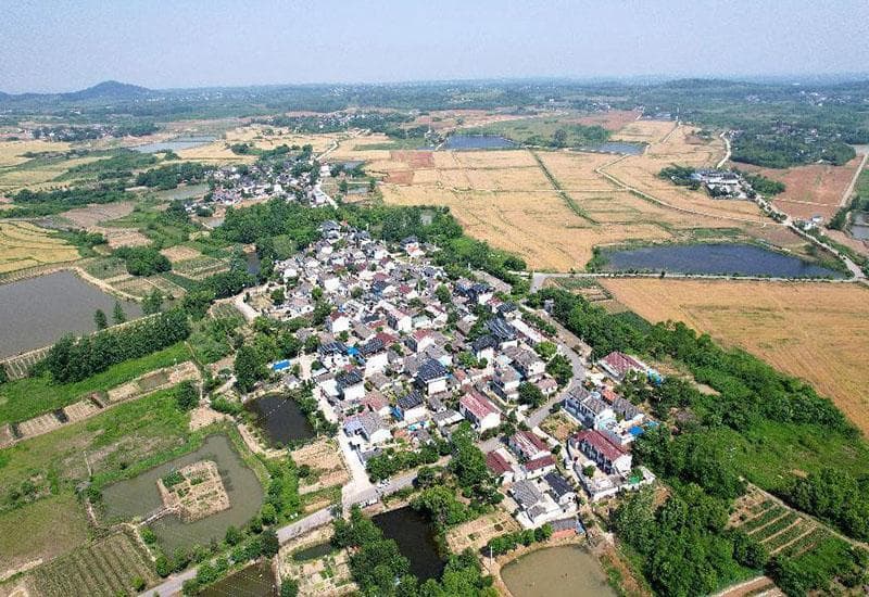 安徽巢湖：村规民约，“约”出文明新风尚