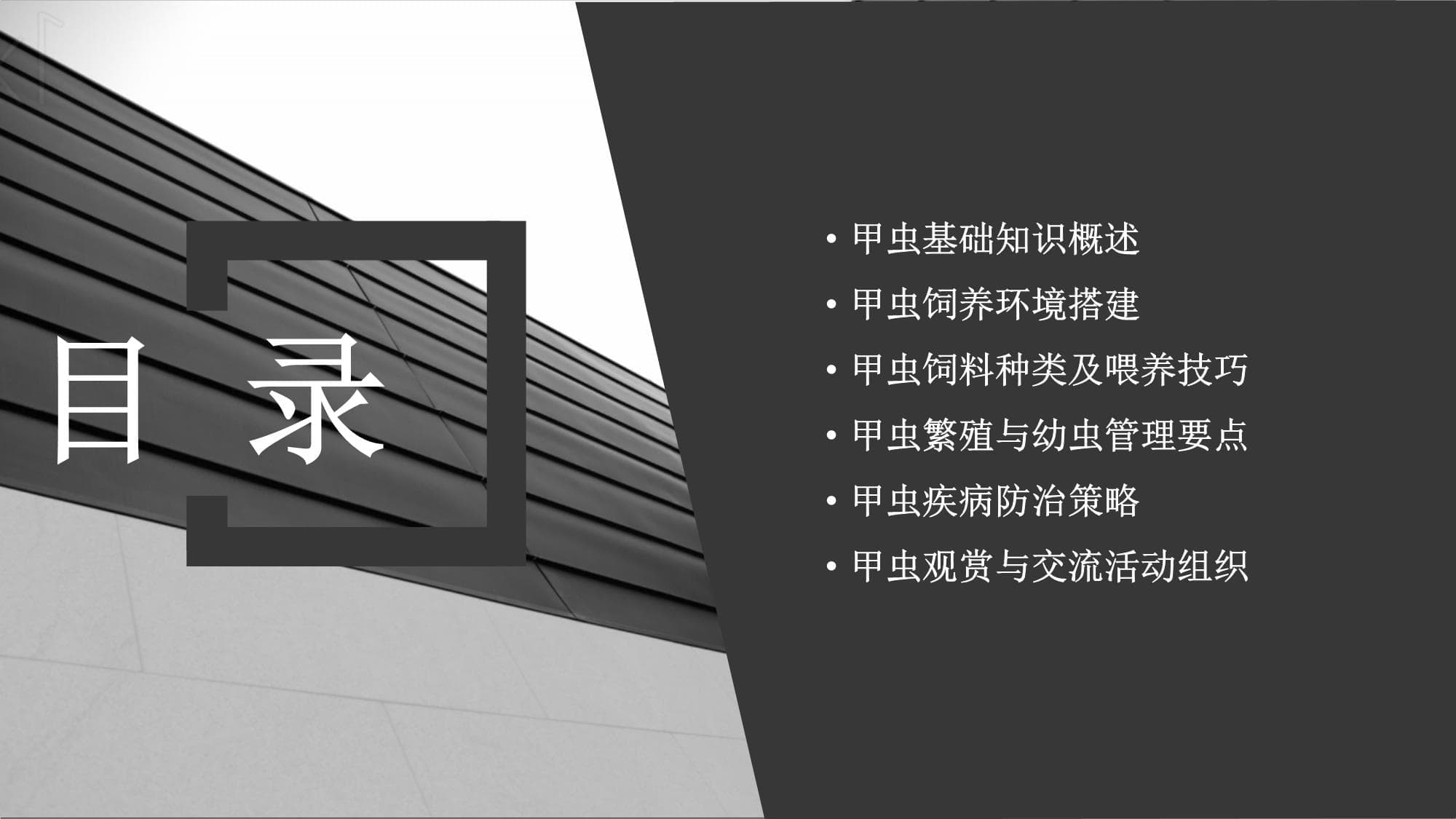 甲虫饲养知识培训课件