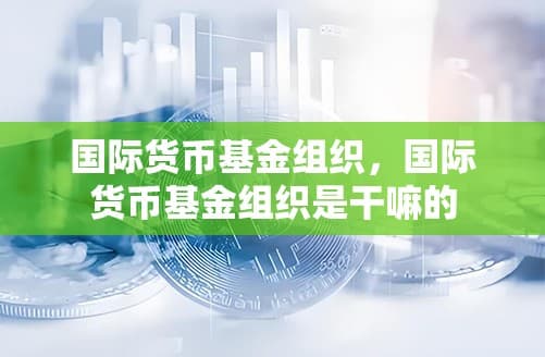 国际货币基金组织：全球经济稳定的守护者