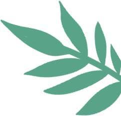 上海金山水上运动全攻略：从古镇舟游到水上卡丁车，多种玩法等你来挑战