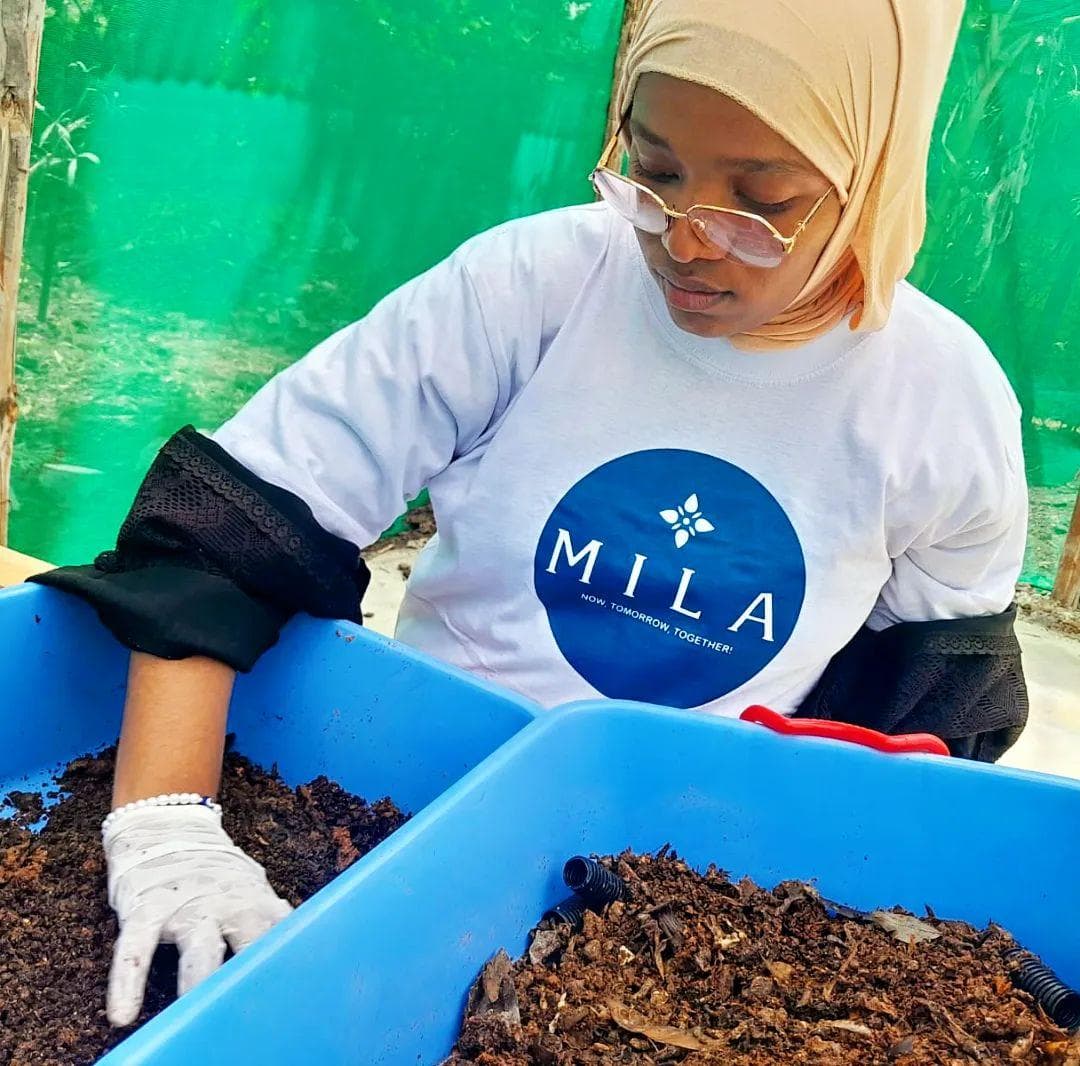 黑水虻幼虫的神奇救援：肯亚Project Mila如何用小虫解决大问题