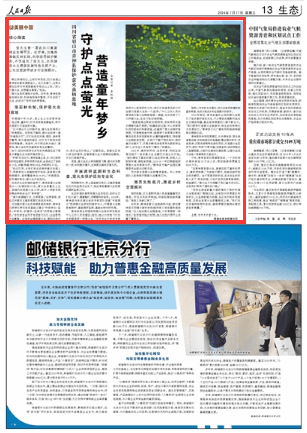 四川青神：保护萤火虫点亮乡村振兴路