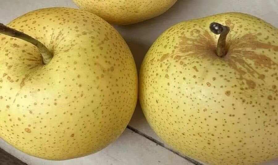 干燥综合征患者的饮食指南：哪些蔬菜水果最适合？
