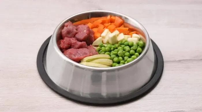 狗狗可以吃豌豆吗？好处和潜在风险有哪些？