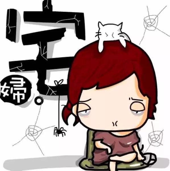 波斯猫：独特长相与温和性格，饲养方法与健康要点全解析