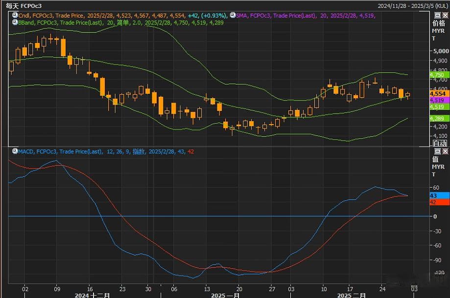棕榈油冲击4550！印度需求与MACD金叉引爆上涨动能？