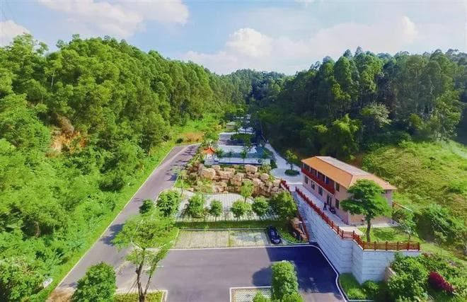 番禺西北部大象岗森林公园建设完成，即将对外开放