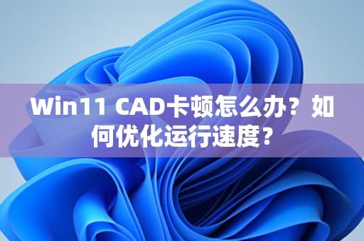 Win11 CAD卡顿怎么办？如何优化运行速度？
