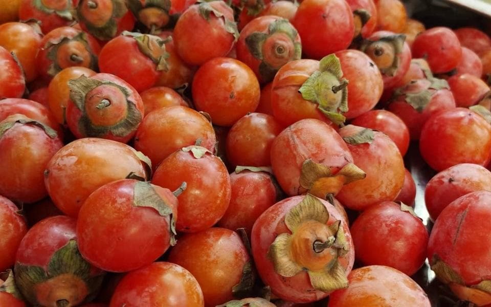 秋季顶流水果柿子上市，这份柿子安全食用指南请收好