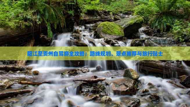 阳江至贵州自驾游全攻略：路线规划、景点推荐与旅行贴士