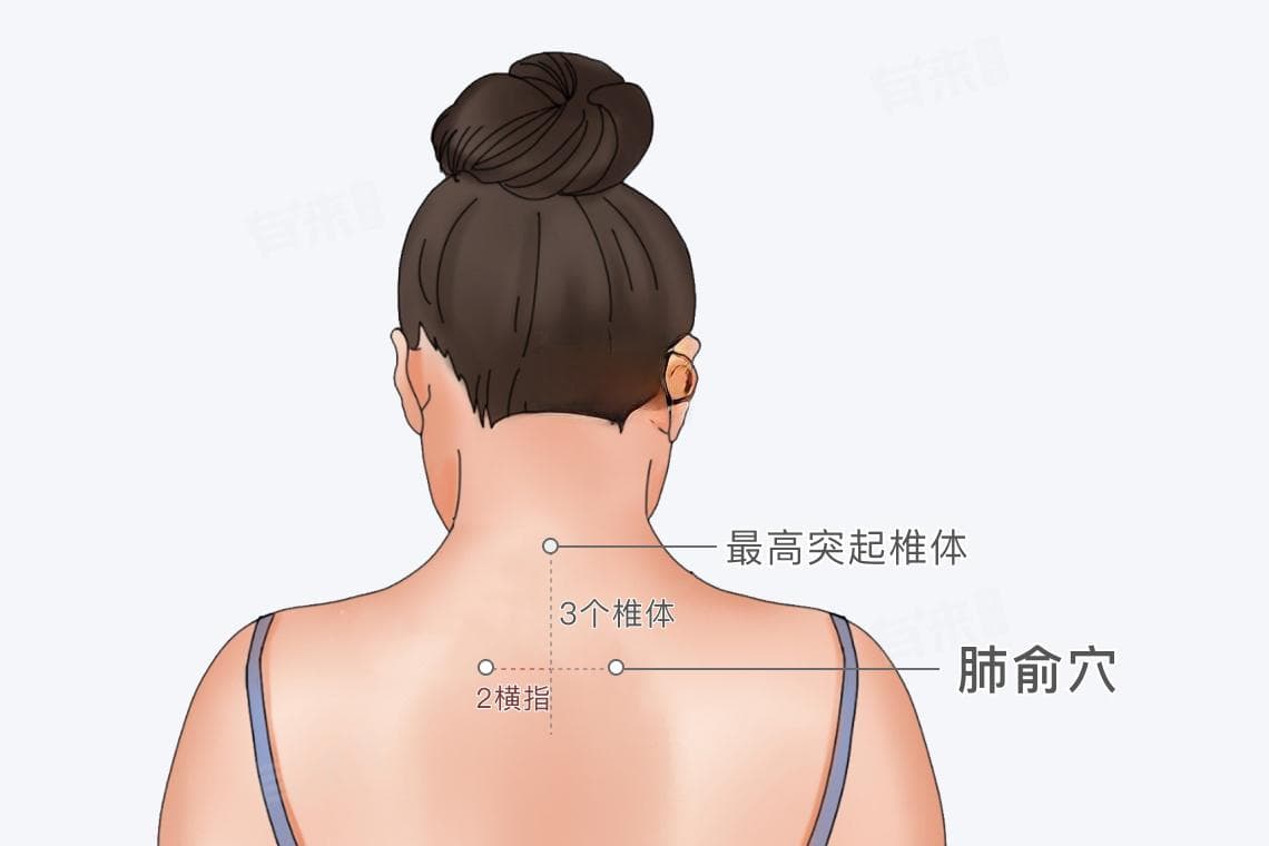 肺俞穴位在哪个位置
