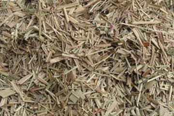 断血流：中药材的功效与应用