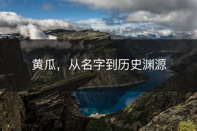 黄瓜，从名字到历史渊源