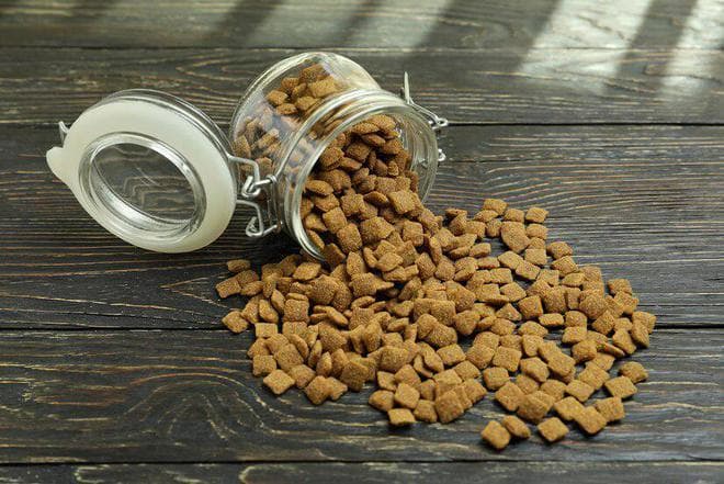 如何判断猫粮是否新鲜？
