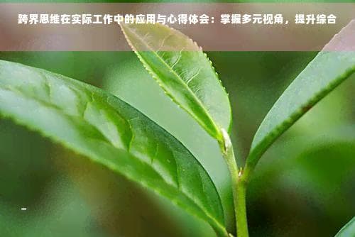 跨界思维在实际工作中的应用与心得体会：掌握多元视角，提升综合能力