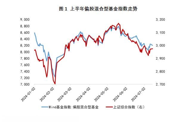 A股上半年震荡走弱 国家队为何逆势盈利？