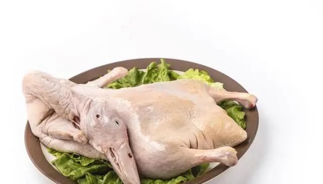 血脂高还能吃鸭肉？医生给出专业解答