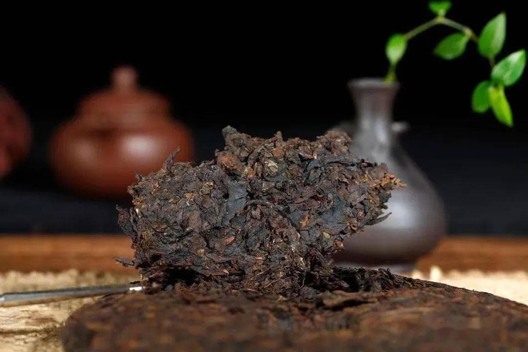 谷医堂谷方益元：普洱茶生茶和熟茶的区别