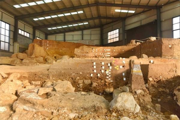 2023年度十大考古新发现：实证中华文明多元一体发展进程
