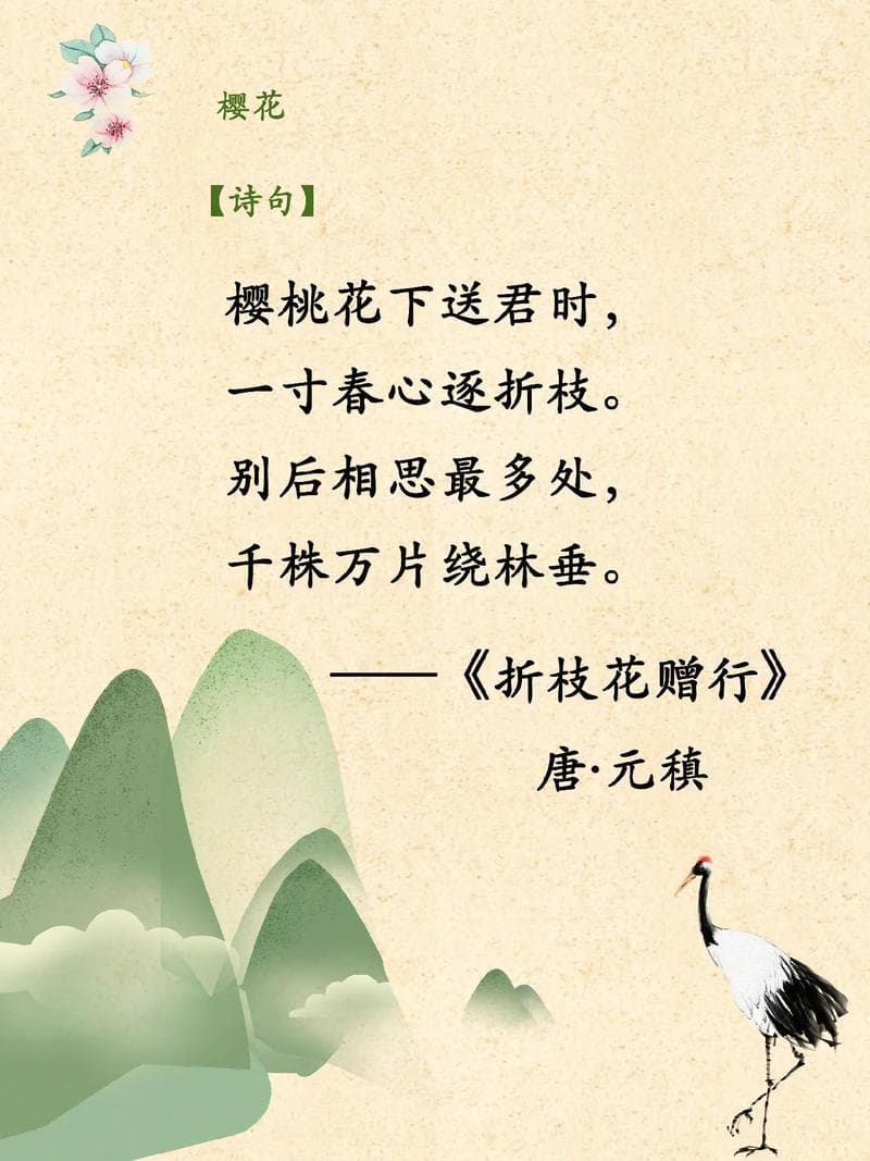 樱花诗词精选：中日诗人笔下的樱花之美