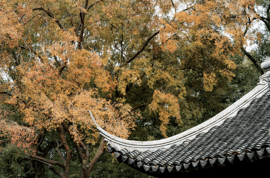 高铁1小时“朋友圈”！上海出发到这些城市景美又好玩！