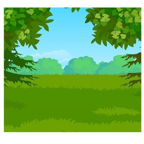 绿色怎么形容？不同场景下的生动描述大全！