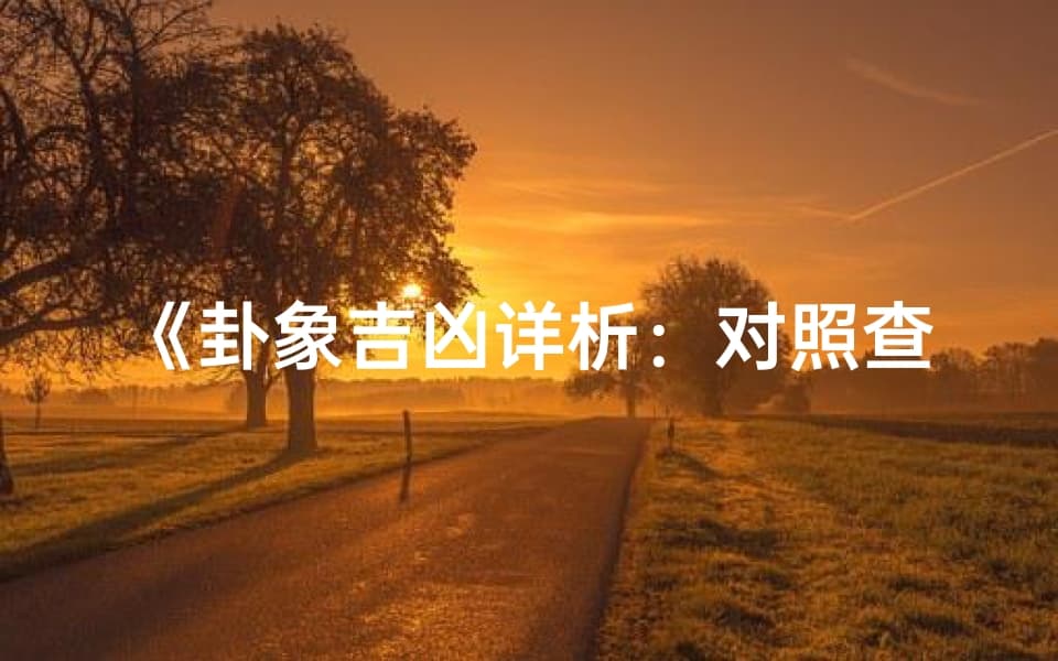 《卦象吉凶详析：对照查询表深度解读》：一本全面实用的易经卦象解读书籍