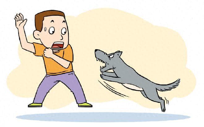 “狂犬”不用慌，哪些动物会传播？被咬伤、抓伤如何正确自救？