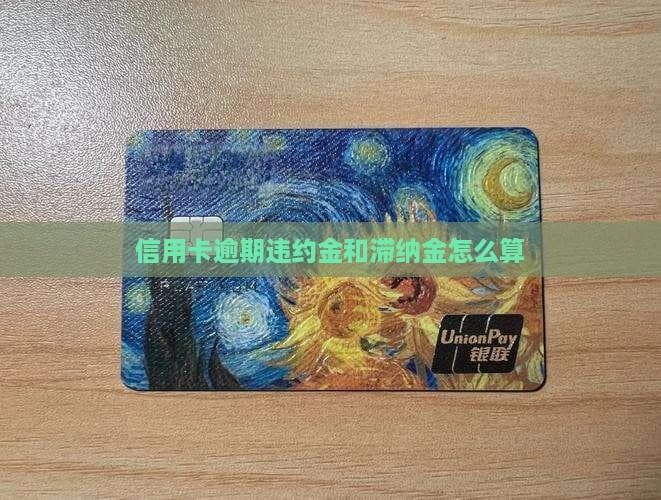 信用卡逾期违约金和滞纳金怎么算