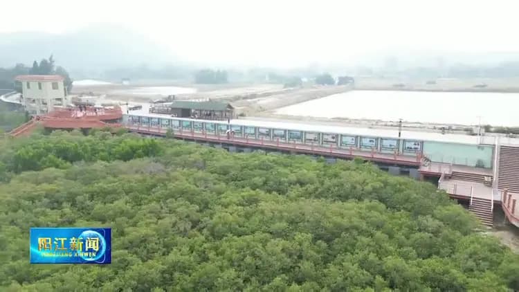 阳江文旅体验持续“上新”，特色文旅营造海陵岛别样风情