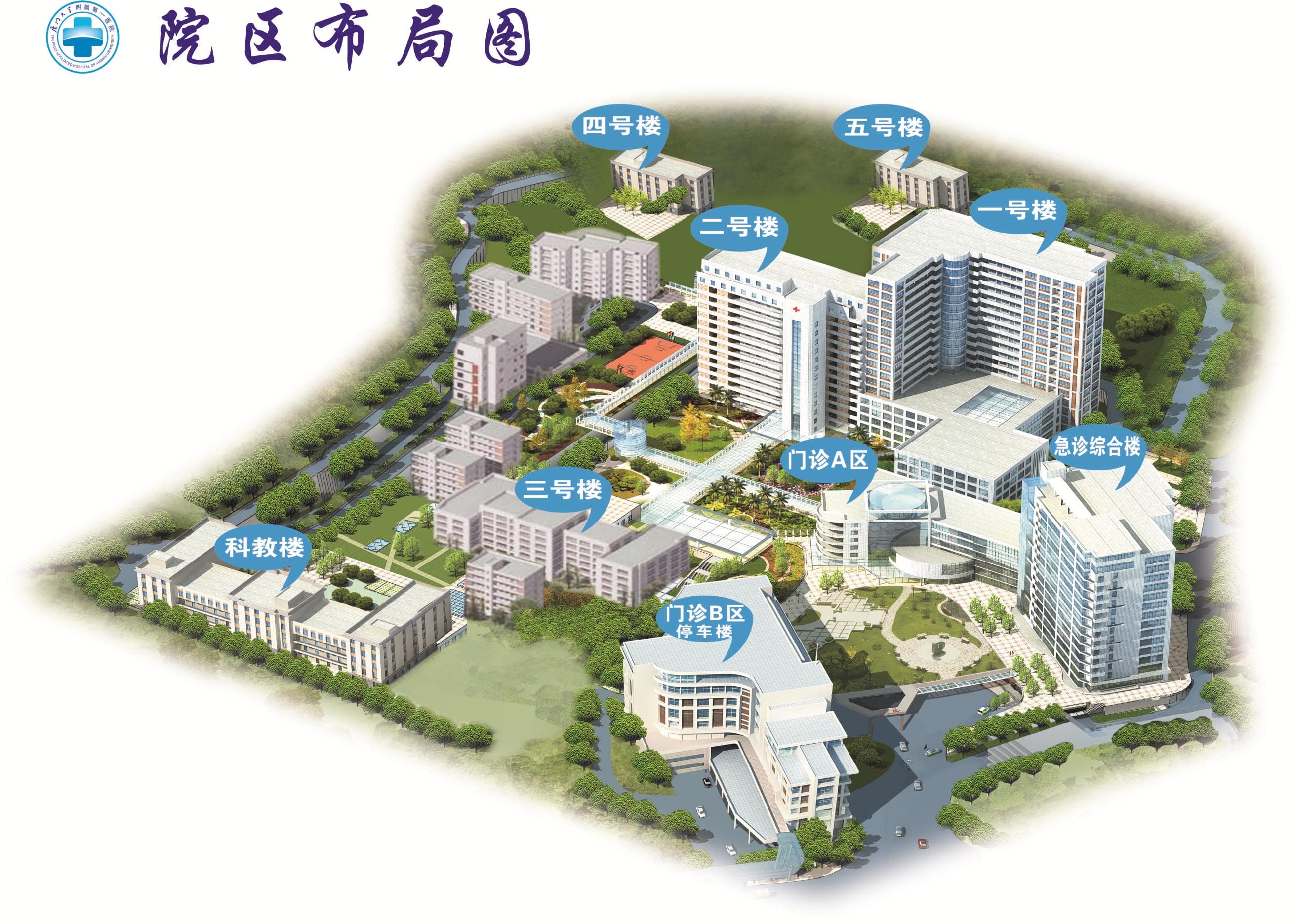 志愿者服务指南：从定义到实践的全方位解读