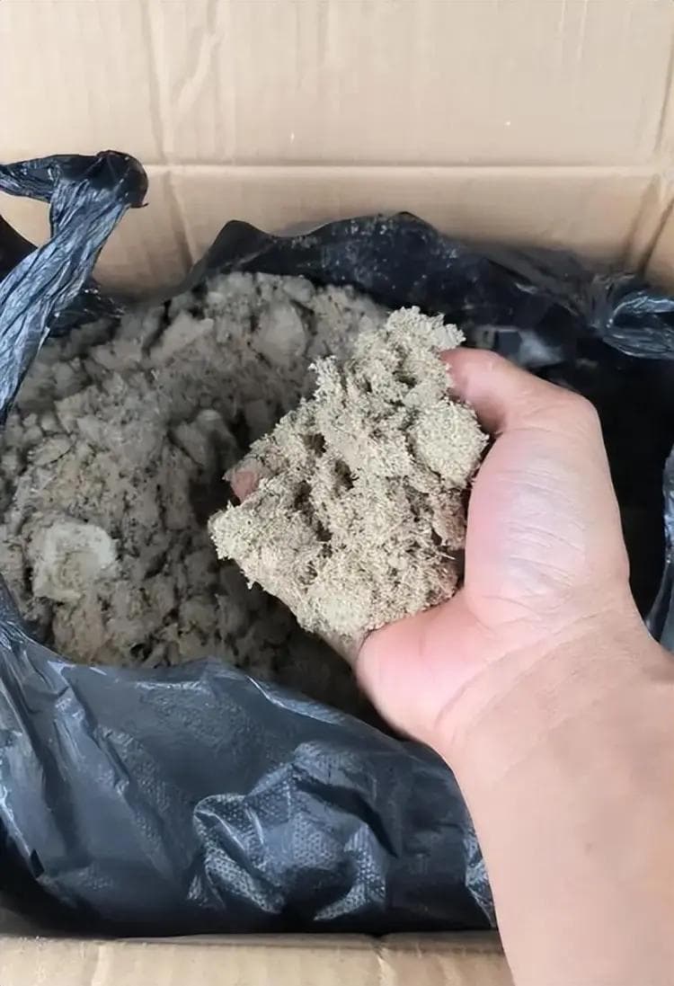告别废物！教你用甘蔗渣自制超实用营养土！
