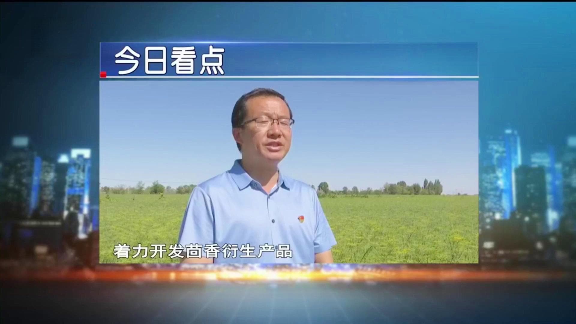 小茴香飘香致富路