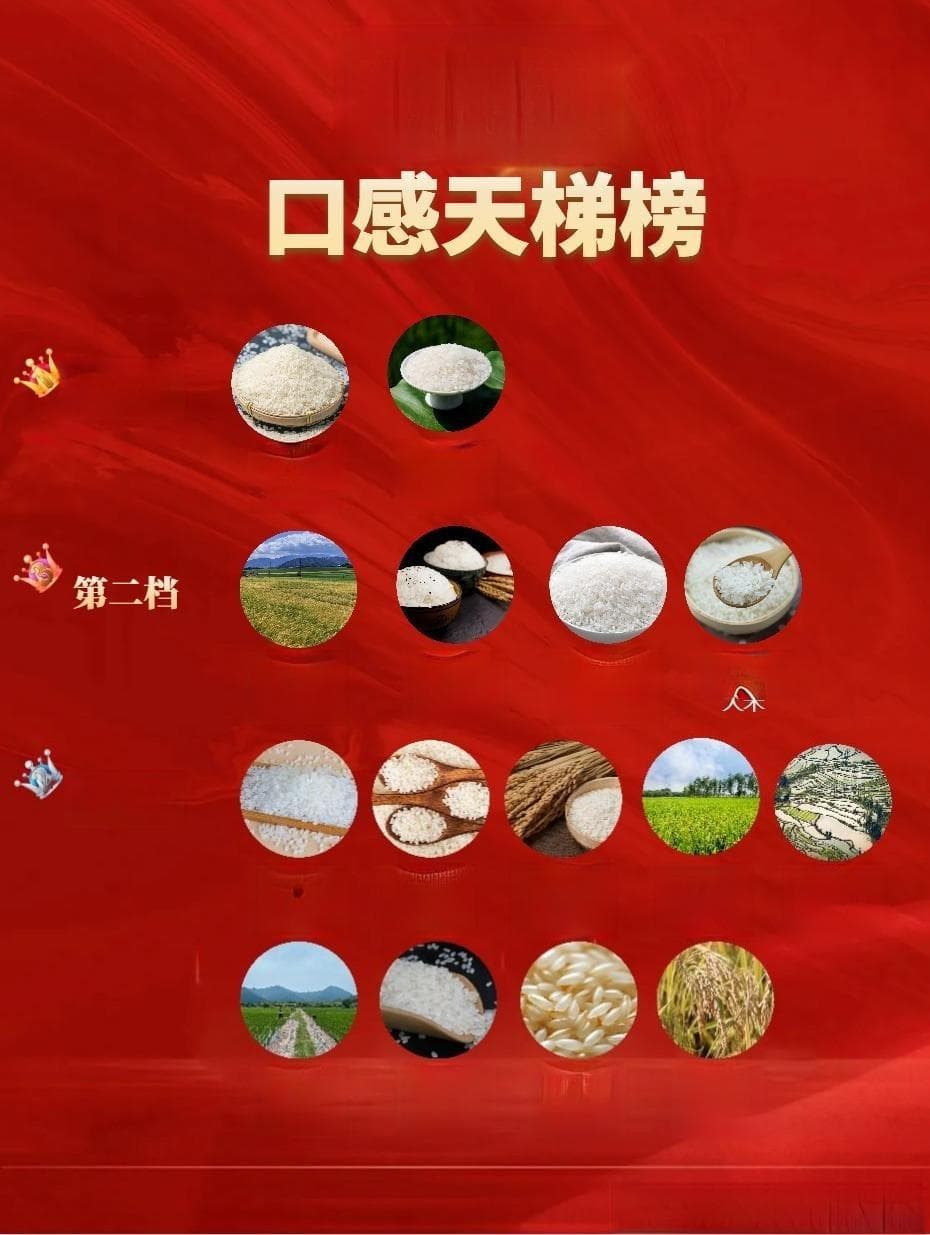 中国15种优质大米口感天梯图：从北到南，各地大米品质大比拼