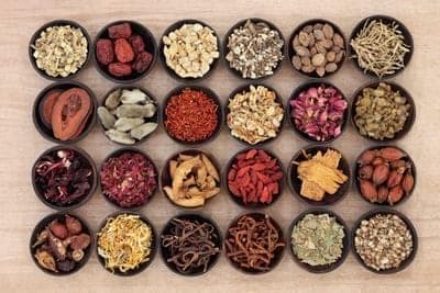 仙人掌的药用价值：从传统功效到现代研究