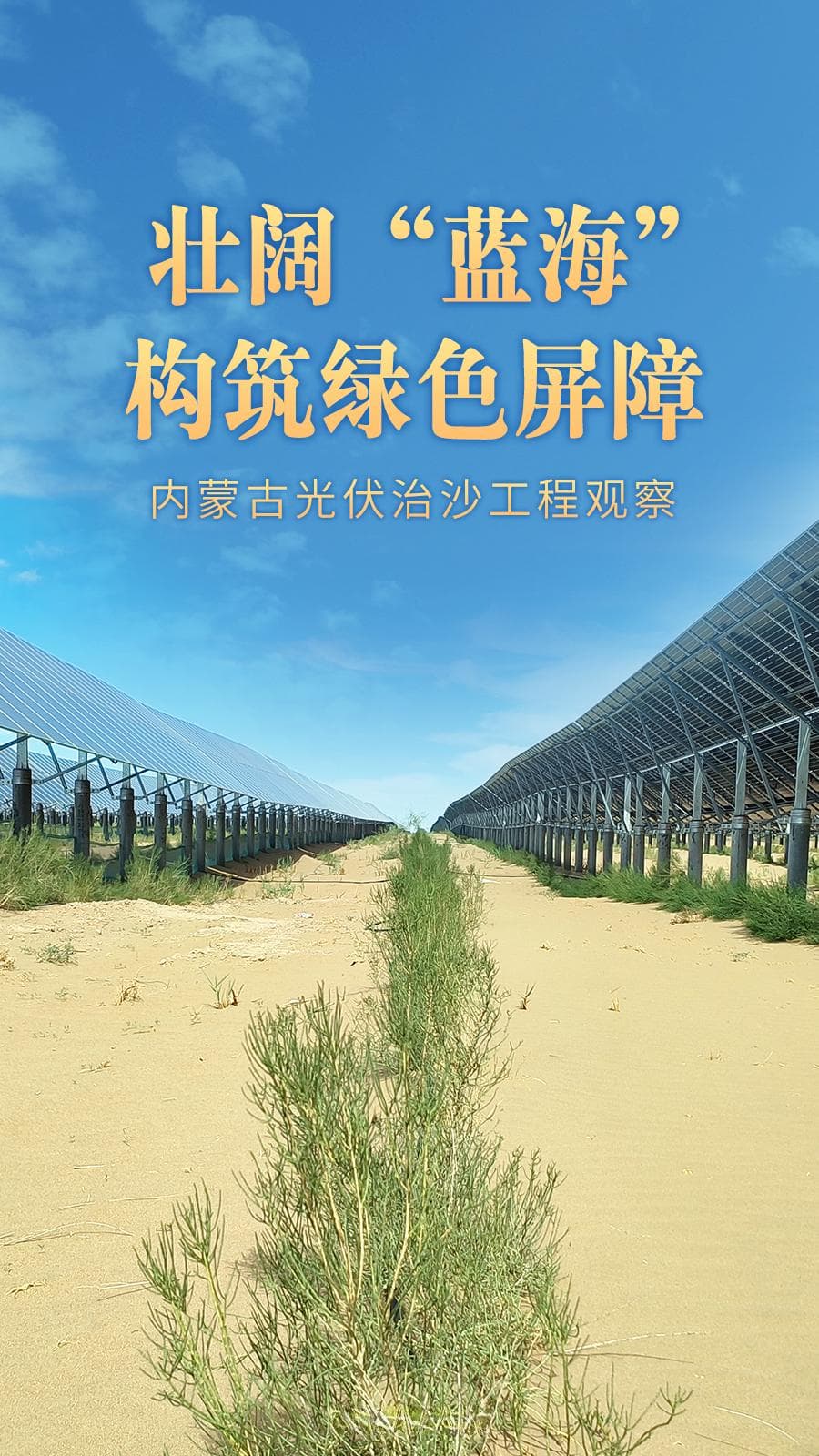 壮阔“蓝海”构筑绿色屏障——内蒙古光伏治沙工程观察