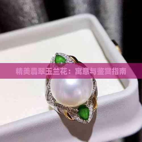 精美翡翠玉兰花：寓意与鉴赏指南