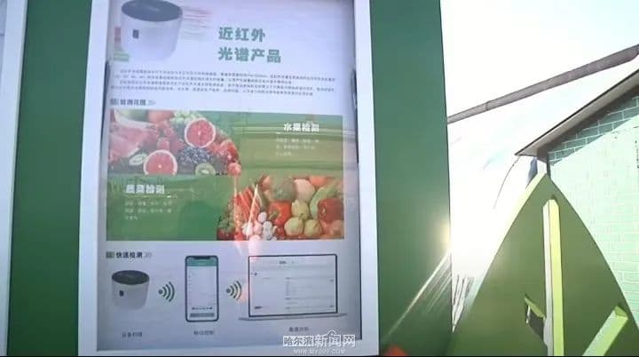 棚室蔬菜争“鲜”上市 产业兴旺“棚”勃发展