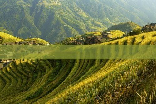 四川旅游美食攻略：从成都到重庆，尽享川味盛宴