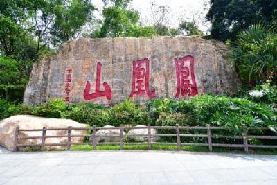 宝安区旅游景点全攻略：自然人文尽收眼底
