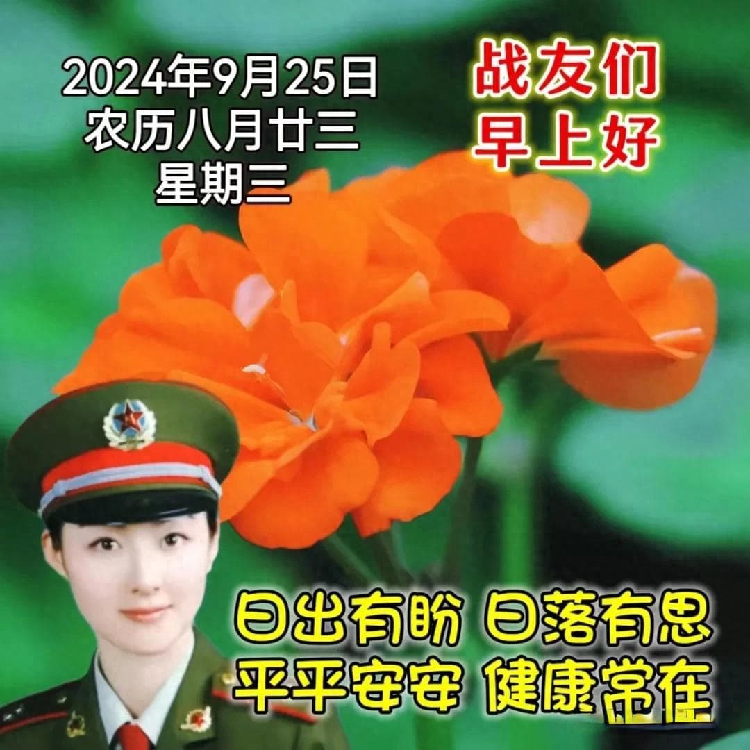 战友情长：6句早安心语送祝福