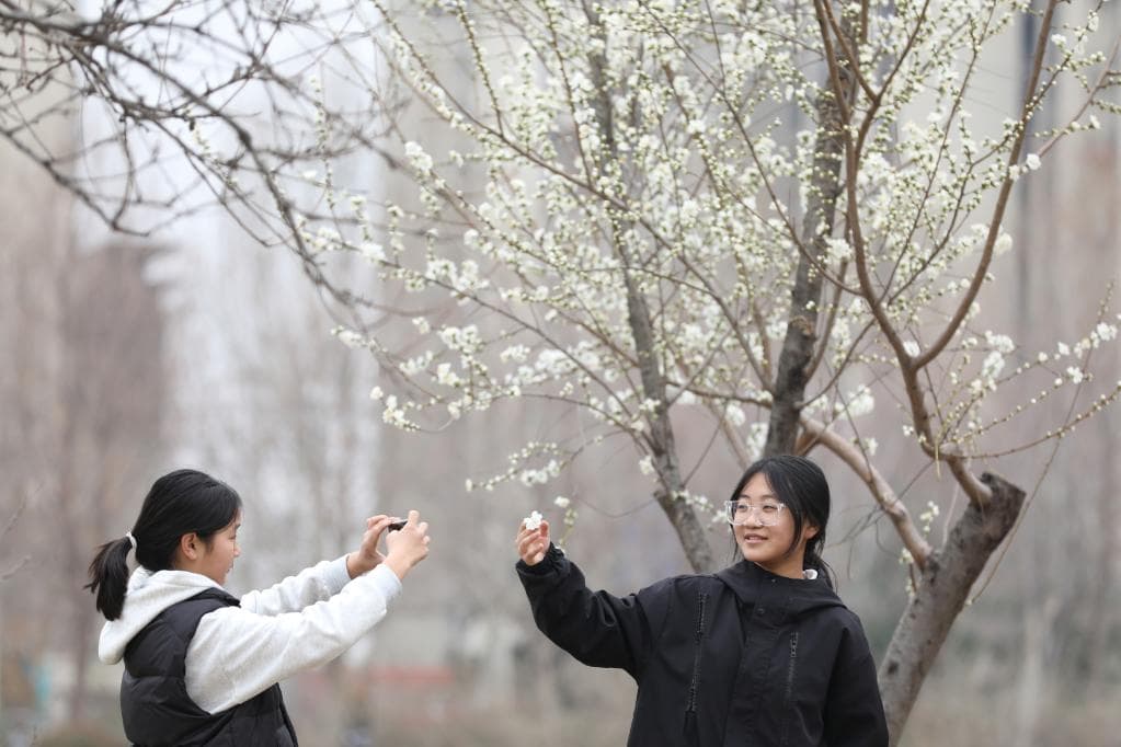 春日“出片”指南｜掌握这些小技巧，朋友圈C位就是你！