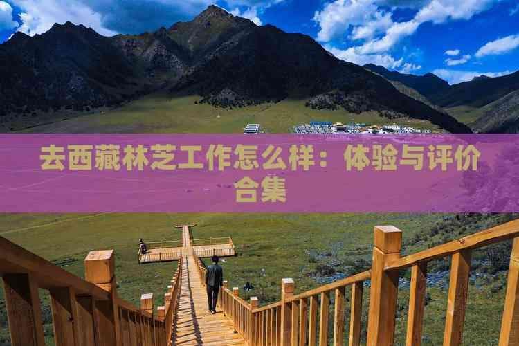 去西藏林芝工作怎么样：体验与评价合集