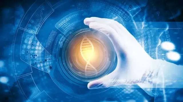 DNA：生命的密码本