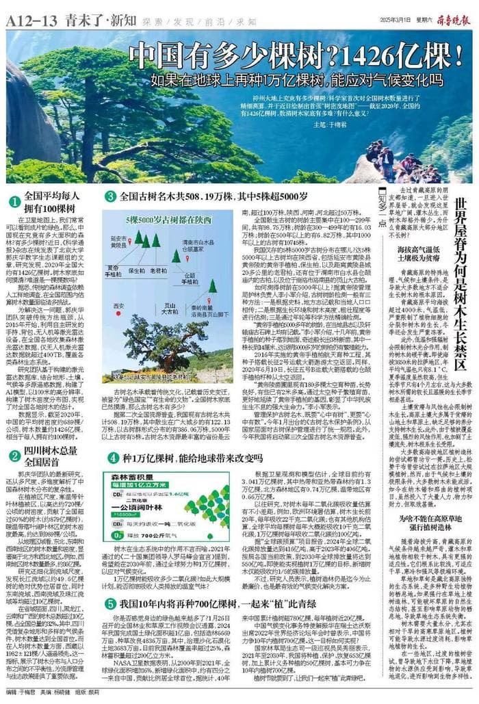 中国到底有多少棵树？科学家首次绘制全国“树密度地图”