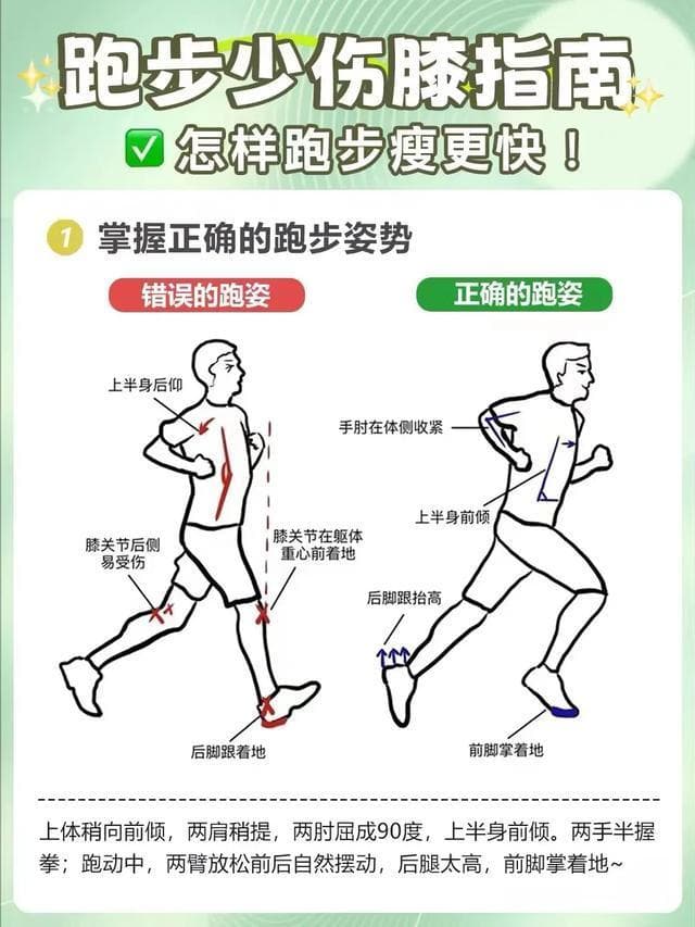科学护膝全攻略：运动前后保护、装备选择、饮食与康复要点解析
