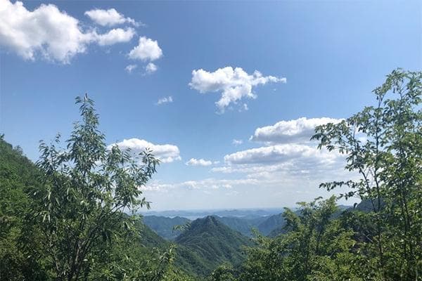 天津梨木台：7-8月溪水丰沛，9月层林尽染，4月花开如海