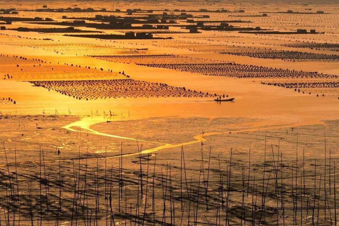 投资自己，从脖子以上开始 —— 让智慧成为最值钱的资产